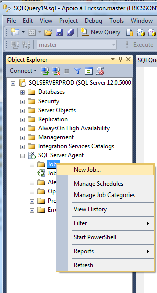 Figura 1.3 - New JOB