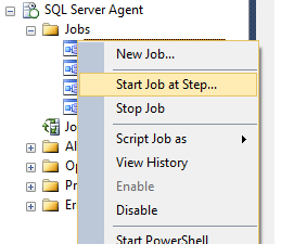 Figura 1.9 - Executar JOB
